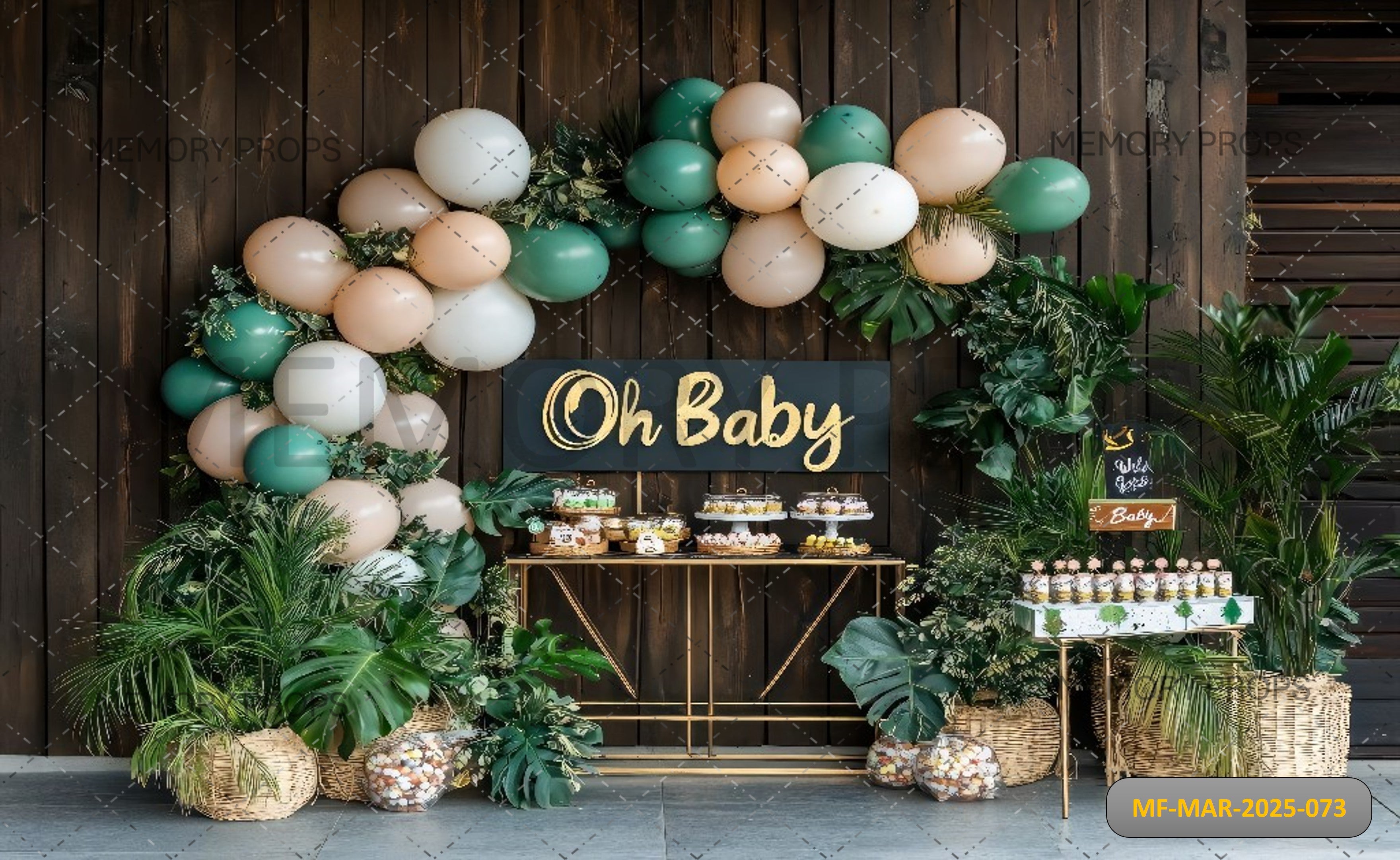 Luxury Balloon Arch Baby Celebration Printed Backdrop
