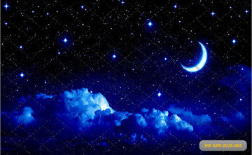 MOONLIGHT SERENADE - PRINTED BACKDROP