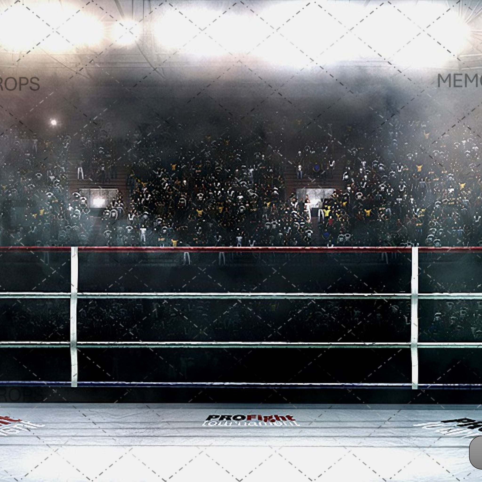 FIGHT NIGHT FURY - PRINTED BACKDROP