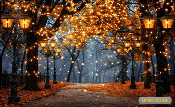 AUTUMN LIGHTS WALKWAY - PRINTED BACKDROP