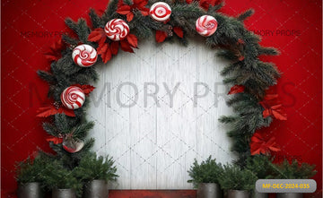 CHRISTMAS CANDY CANE - PRINTED BACKDROP