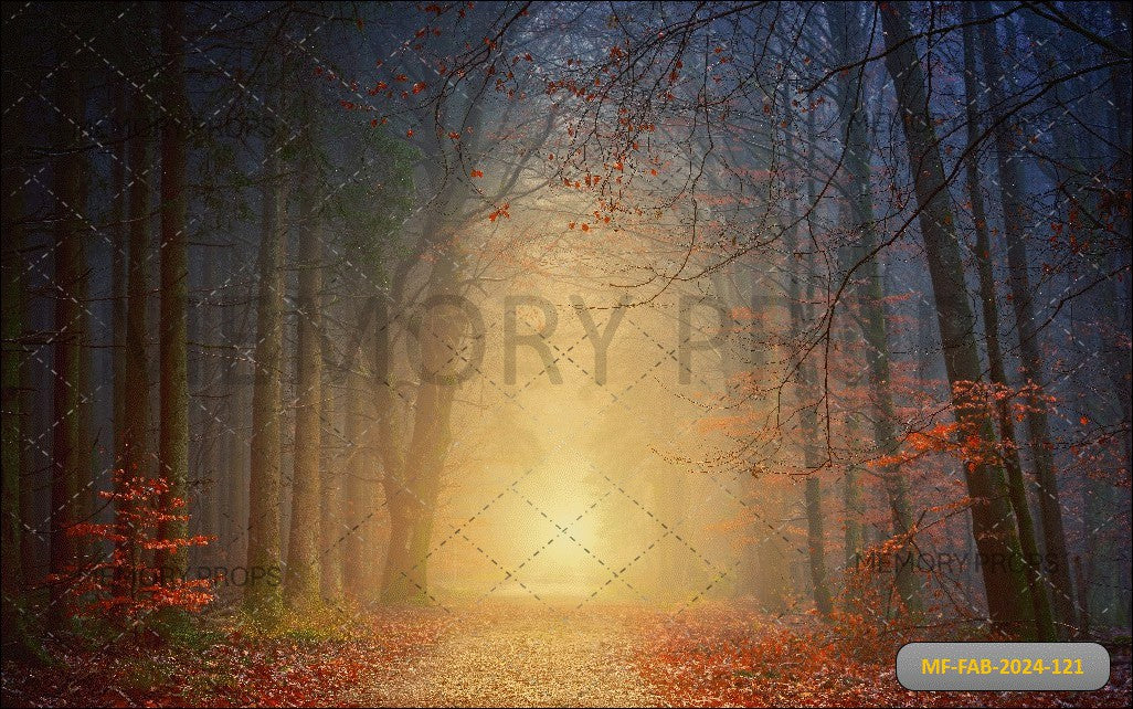 Natural Forest Path Printed Backdrop