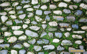 STONES AND GREEN GRASS - PRINTED BACKDROP