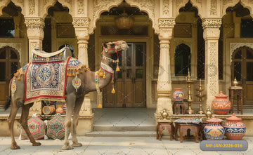 TRADITIONAL RAJASTHANI COURTYARD - PRINTED BACKDROP