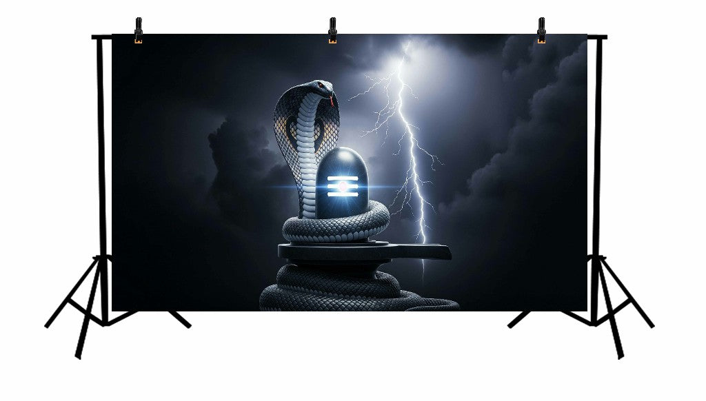 FURY OF SHIVA - PRINTED BACKDROP