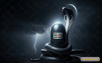 COSMIC STORM - PRINTED BACKDROP