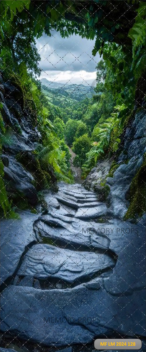 GREEN FOREST BLACK STONE PATH - PRINTED BACKDROP