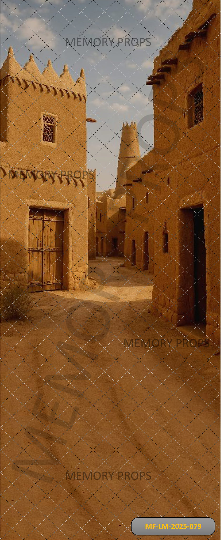 FORGOTTEN CITY - PRINTED BACKDROP