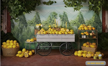 LEMONS SITS IN OF A MURAL THAT SAYS LEMONS PRINTED BACKDROP