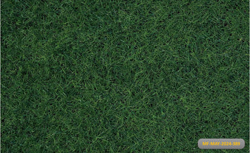 GREEN MEADOW MAGIC – PRINTED BACKDROP