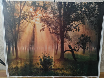 SUNRAY FOREST PEACOCK SILHOUETTE SETUP - PRINTED BACKDROP